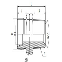 METRIC MALE 24°H.T./NPT MALE 60°