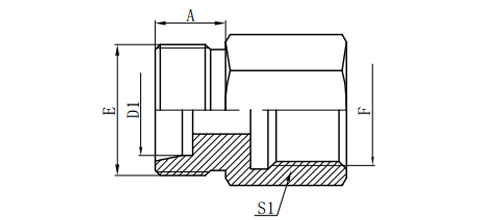 METRIC MALE 24°H.T./BSP FEMALE