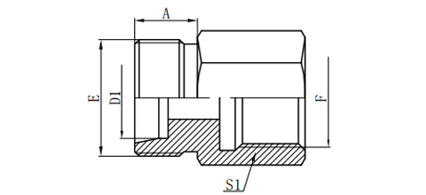 METRIC MALE 24°L.T./METRIC FEMALE