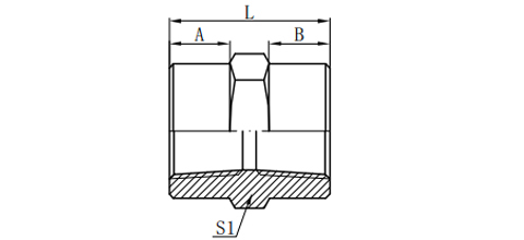 BSPT FEMALE