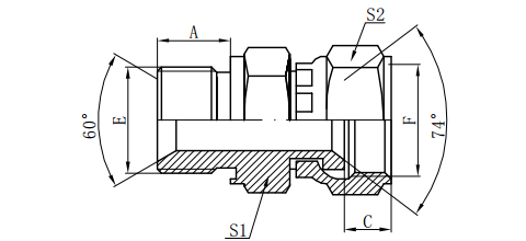 BSP MALE CAPTIVE SEAL/ JIC FEMALE 74°SEAT