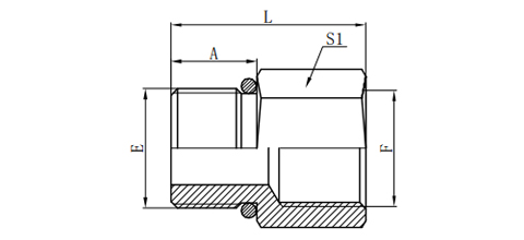 BSP MALE O-RING/BSP FEMALE