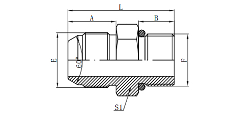 JIS GAS MALE 60°CONE/ BSP MALE O-RING