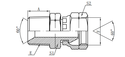 NPT MALE/BSP FEMALE 60°CONE