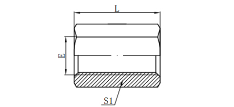 BSP FEMALE