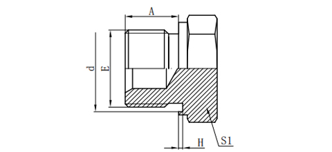 BSP MALE CAPTIVE SEAL PLUG