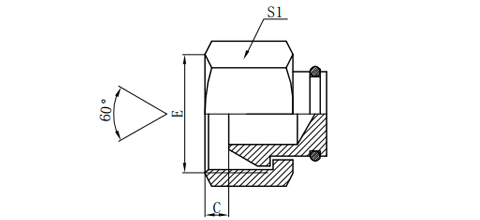 BSP FEMALE 60°CONE PLUG