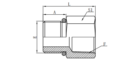 BSP MALE O-RING/BSPT FEMALE