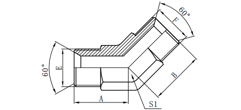 45°BSP MALE 60°SEAT