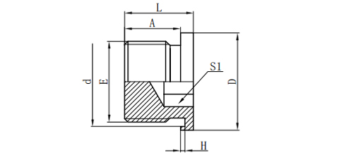 BSP MALE CAPTIVE SEAL HOLLOW HEX PLUG