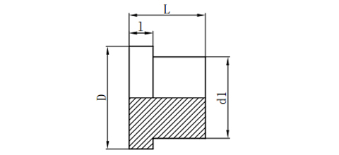 S-SERIES FLANGE PLUG