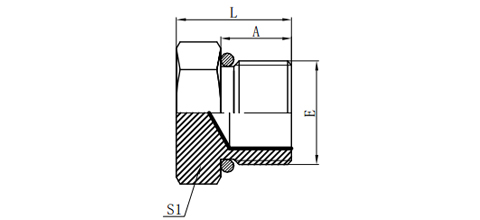 BSP MALE O-RING PLUG