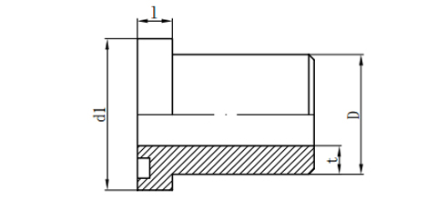 L-SERIES FLANGE/BUTT-WELD TUBE