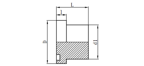 S-SERIES FLANGE PLUG