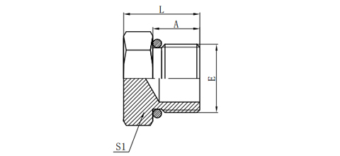 SAE O-RING BOSS PLUG