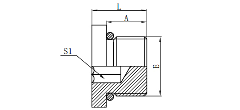 SAE O-RING BOSS HOLLOW HEX PLUG