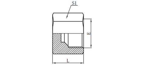 JIC 74°FEMALE PLUG