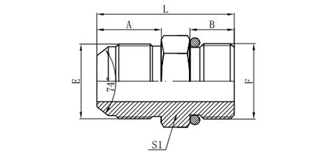 JIC MALE 74°CONE/ BSP MALE O-RING