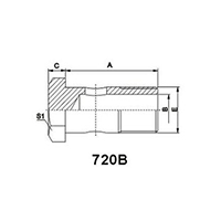 BSP Bolt