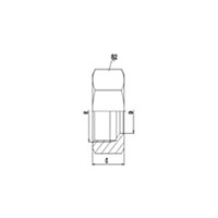 Retaining Nut L.T. DIN 3870