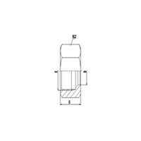 Retaining Nut H.T. DIN 3870